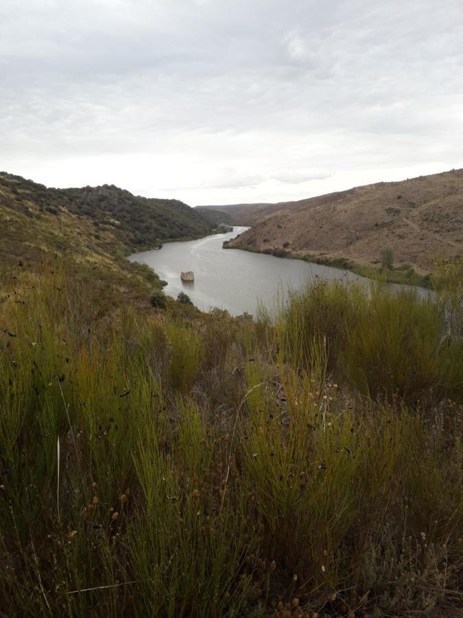 Mirador Del Duero Διαμέρισμα Θαμόρα Εξωτερικό φωτογραφία